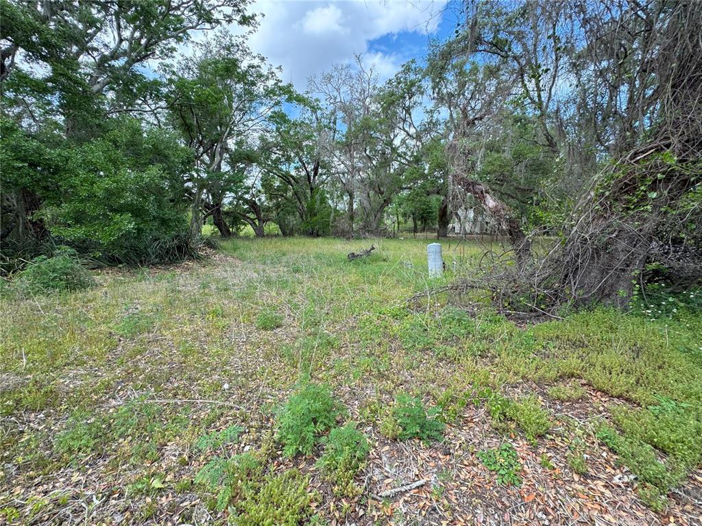 A grassy, wooded lot features a utility pedestal and mature trees under a cloudy sky — 3221 DUBLIN ROAD, DADE CITY, FL