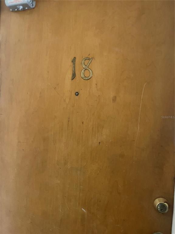 A wooden door features the number 18, a peephole, and a deadbolt lock — 111 S NEWPORT AVENUE UNIT 18, TAMPA, FL