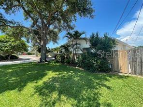 A large tree stands in a grassy front yard next to a house and fence — 6901 GULF WINDS DRIVE, ST PETE BEACH, FL