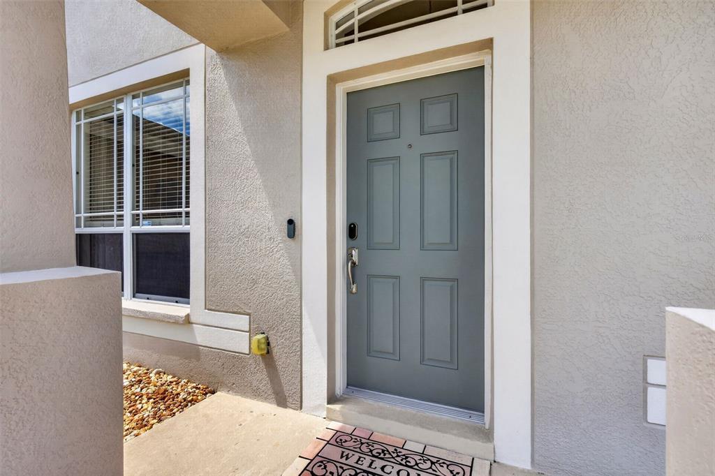A gray front door with a transom window sits on a concrete porch — 30524 LANESBOROUGH CIRCLE, WESLEY CHAPEL, FL