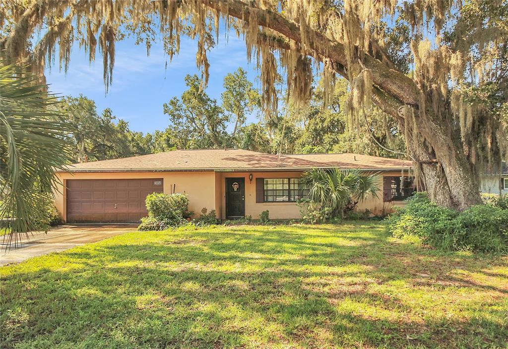 2050 LIVE OAK DRIVE