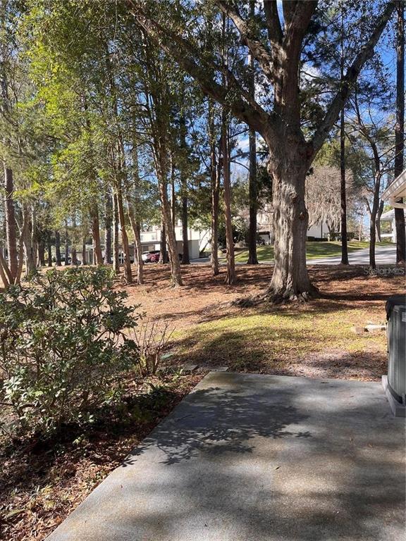 A concrete patio overlooks a wooded area with tall trees and a residential street — 8757 SW 97TH LANE ROAD UNIT C, OCALA, FL