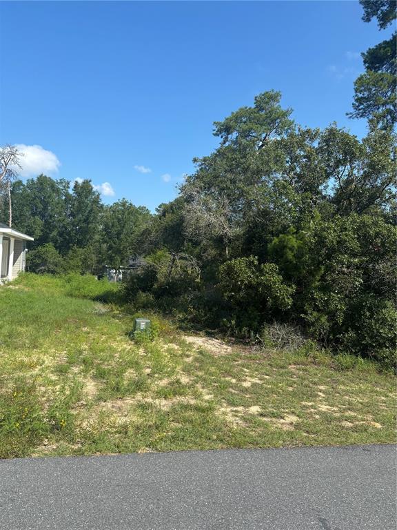 A vacant, grassy residential lot features scattered vegetation and dense trees under a blue sky — 16698 SW 21ST CIRCLE, OCALA, FL