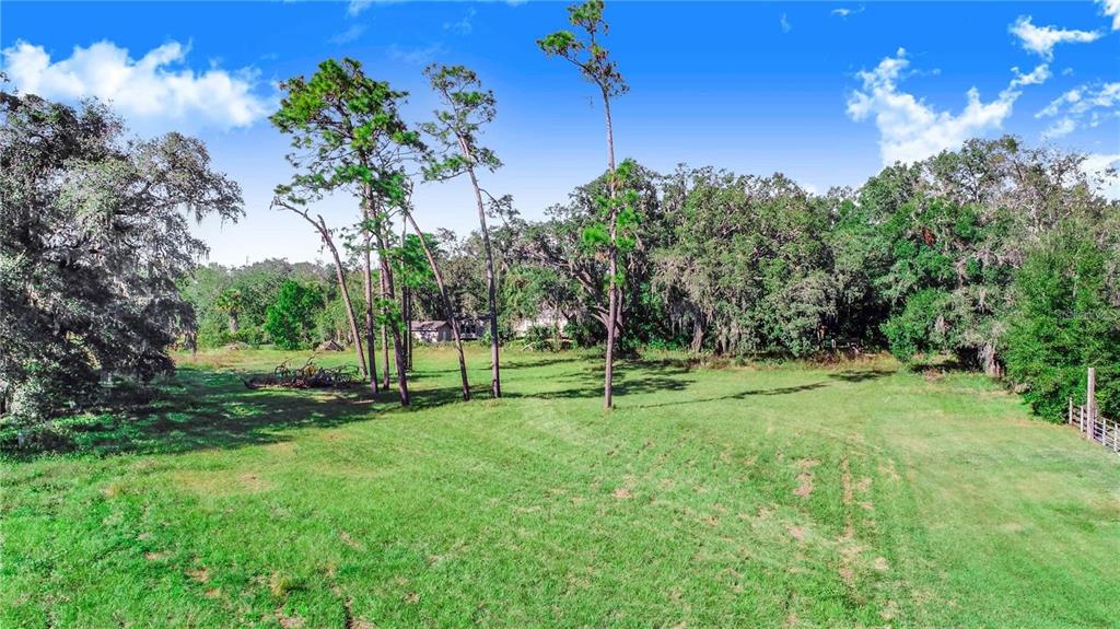 A grassy, open field is surrounded by tall pine trees and dense woods — US HIGHWAY 547 HIGHWAY, DAVENPORT, FL