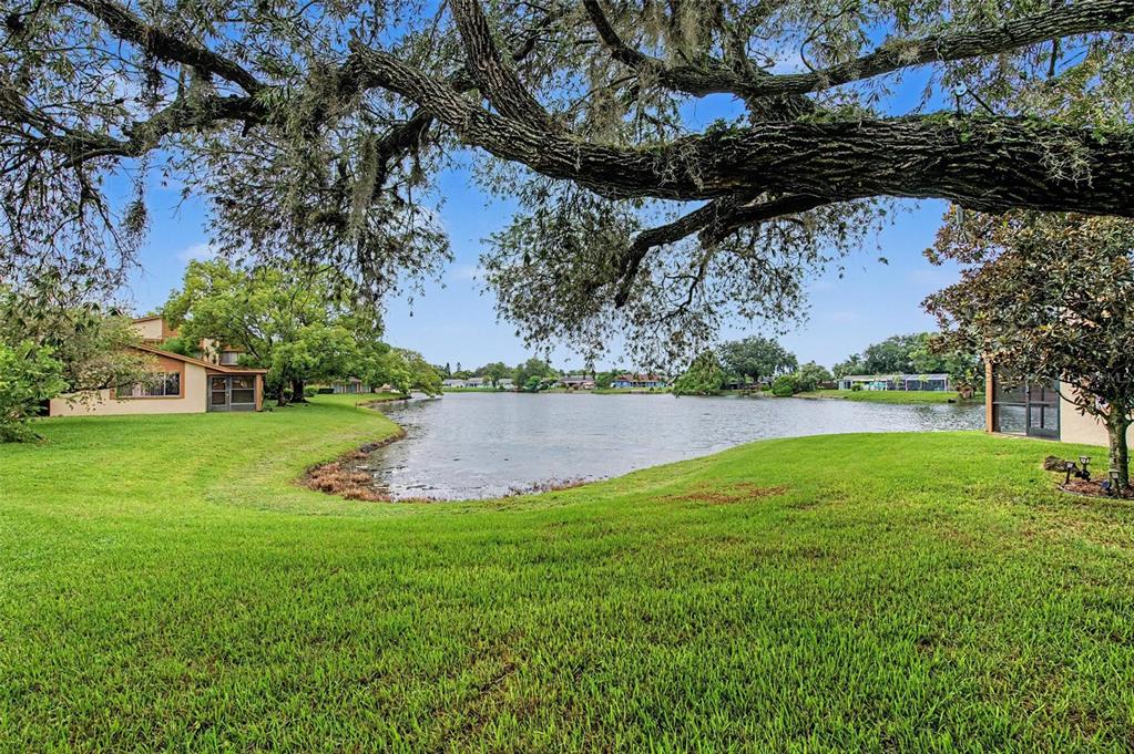 A grassy lawn slopes down to a lake framed by a large, mossy tree branch — 4015 DAVIT DRIVE, NEW PORT RICHEY, FL