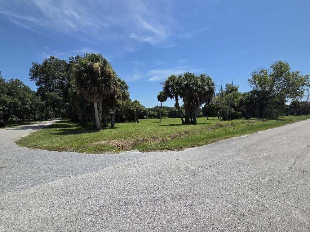 A grassy corner lot features several palm trees and mature oaks under a blue sky — 0 SW 16th Drive, Okeechobee FL 34974, OKEECHOBEE, FL