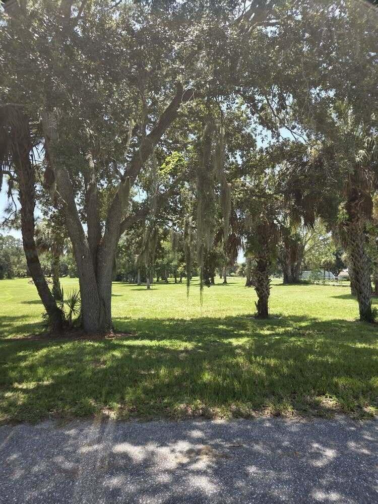A grassy lot with large oak trees draped in Spanish moss and several palm trees — 0 SW 16th Drive, Okeechobee FL 34974, OKEECHOBEE, FL