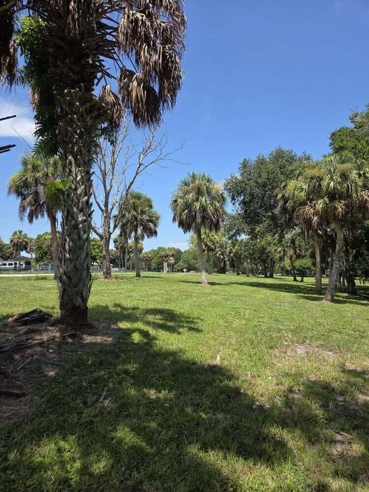 A grassy field features several tall palm trees under a clear blue sky — 0 SW 16th Drive, Okeechobee FL 34974, OKEECHOBEE, FL
