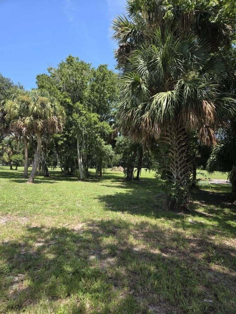 A grassy yard features several tall palm trees and mature deciduous trees under a blue sky — 0 SW 16th Drive, Okeechobee FL 34974, OKEECHOBEE, FL