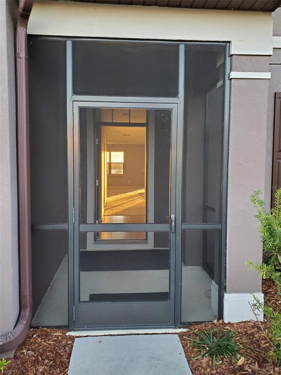 A screened-in front entryway leads to an open interior space with sunlight visible inside — 9215 MOUNTAIN MAGNOLIA DRIVE, RIVERVIEW, FL