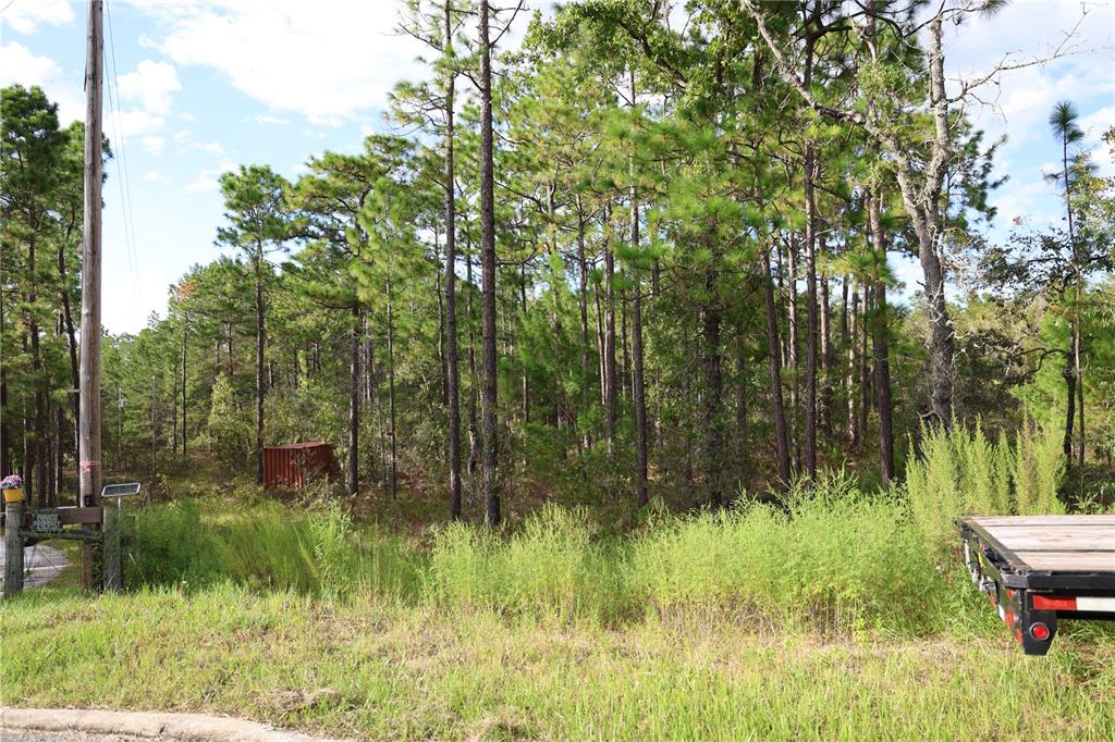 A wooded lot features a small red storage container and a utility pole — 403 MELROSE LANDING, HAWTHORNE, FL