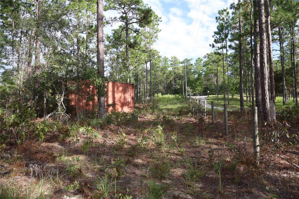 A red shipping container sits in a wooded lot with a wire fence in the foreground — 403 MELROSE LANDING, HAWTHORNE, FL