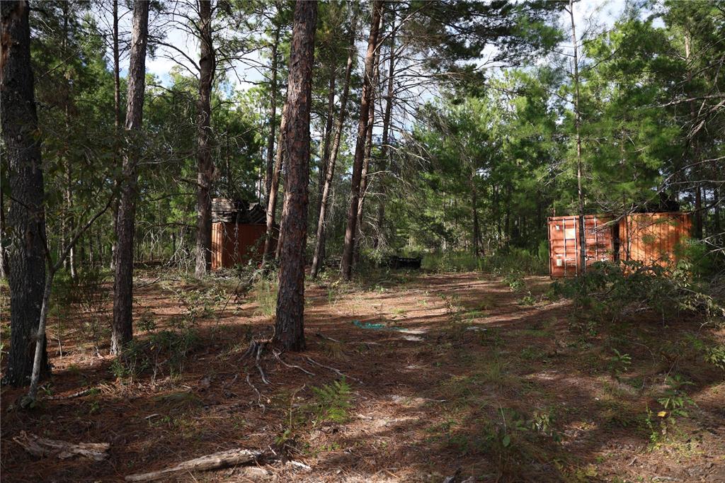 Two orange shipping containers sit in a wooded area with pine trees and ground cover — 403 MELROSE LANDING, HAWTHORNE, FL