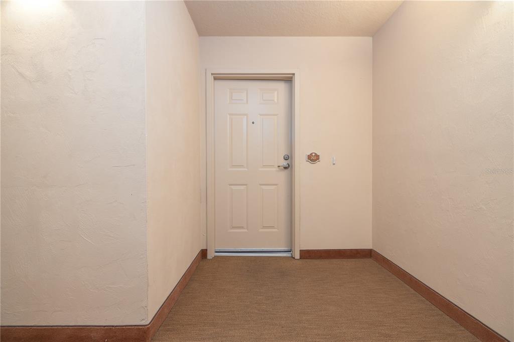 A beige door with a unit number is centered in a small, carpeted entryway — 1425 OCEAN SHORE BOULEVARD UNIT 203, ORMOND BEACH, FL
