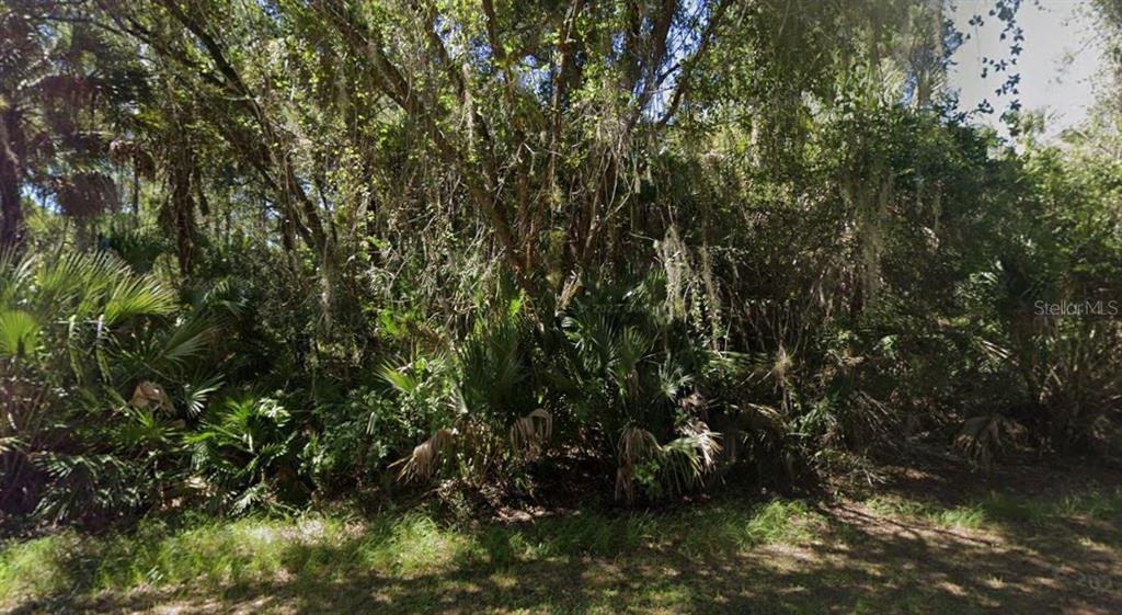 A dense, wooded lot features thick vegetation, palm trees, and hanging Spanish moss — MAYWOOD LANE, NORTH PORT, FL