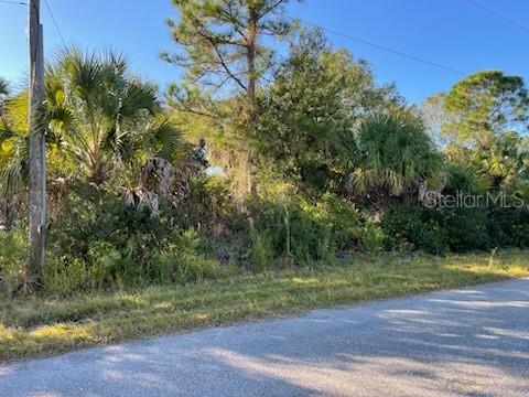 A view of a vacant, wooded lot bordered by a paved road and utility pole — BOBLINK STREET, NORTH PORT, FL