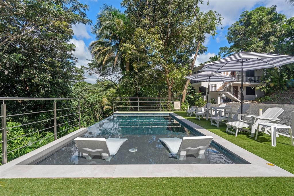 A rectangular swimming pool with two submerged lounge chairs sits on a grassy patio area — CARR 966 KM 2.8 BO JIMENEZ, RIO GRANDE, PR