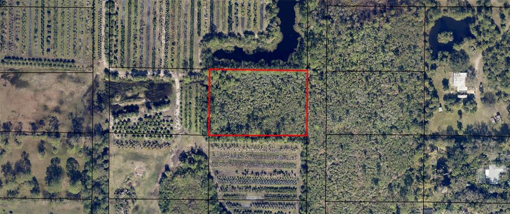 HAZEL LANE, MALABAR, FL — photo 3 of 5