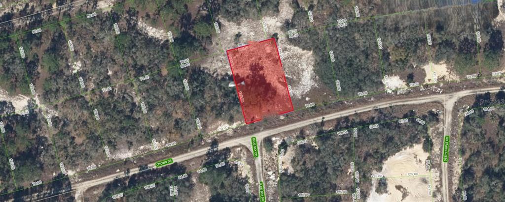 An aerial map view shows a highlighted rectangular plot of land near a dirt road — 394 CROWN DRIVE, LAKE PLACID, FL
