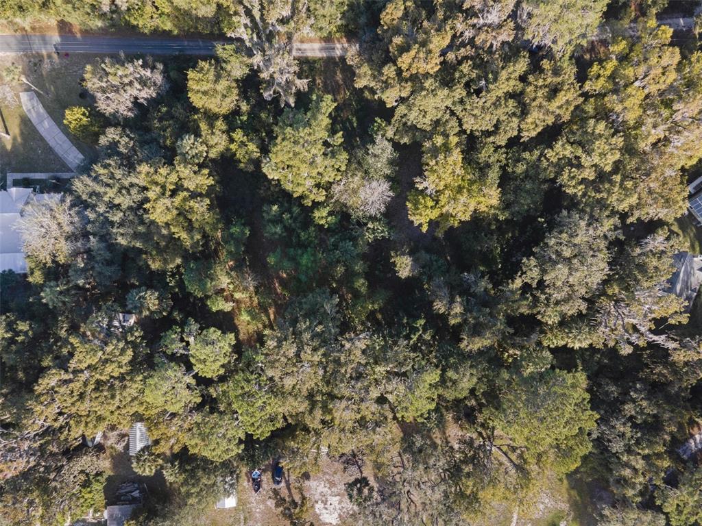 An aerial view shows a densely wooded lot situated between a road and residential properties — 6809 SE 14TH LANE, GAINESVILLE, FL