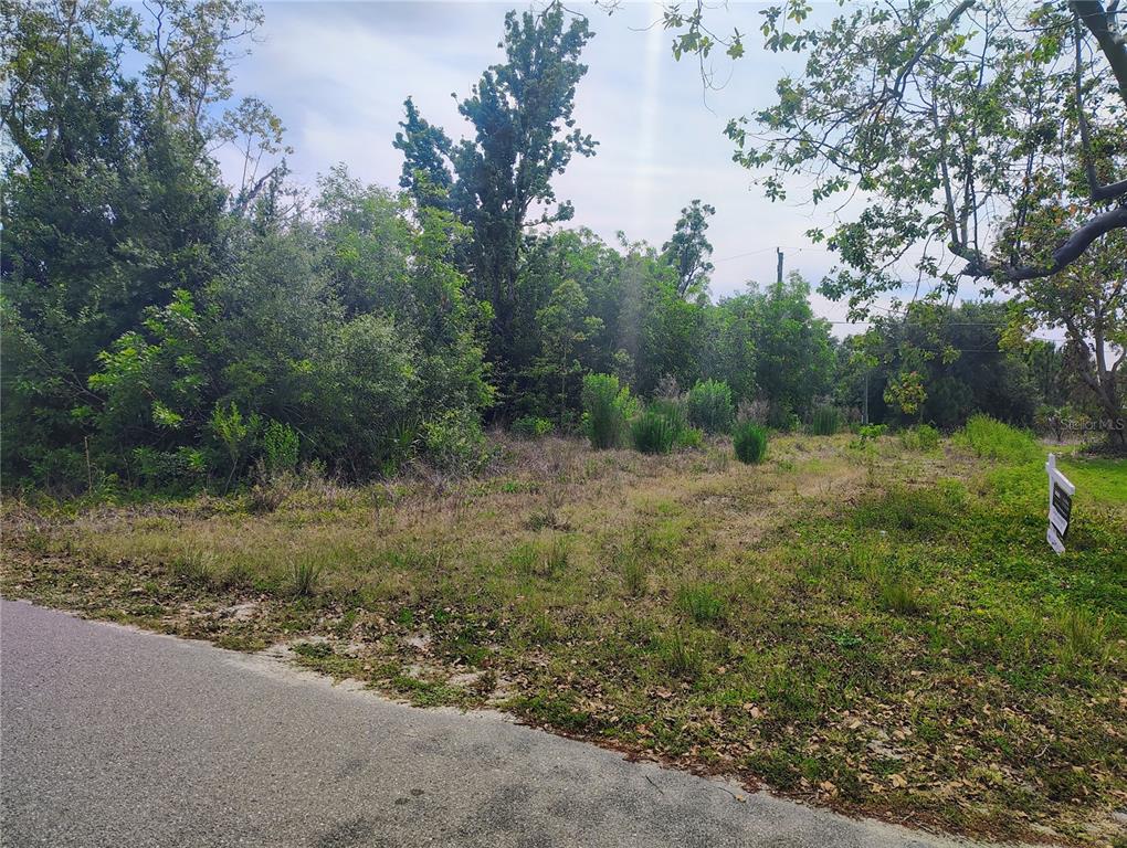 A vacant, grassy lot with dense trees and a real estate sign along a road — 9283 MANDY STREET, PUNTA GORDA, FL