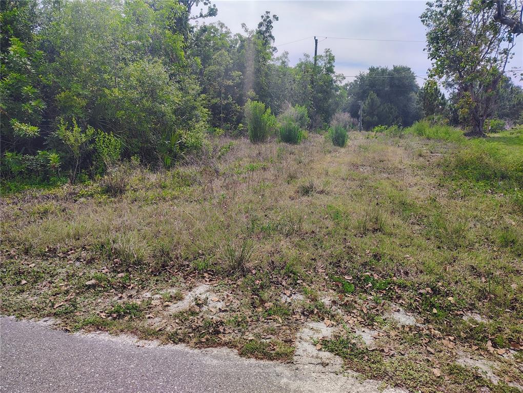 A vacant, grassy lot with scattered shrubs and trees borders a paved road — 9283 MANDY STREET, PUNTA GORDA, FL