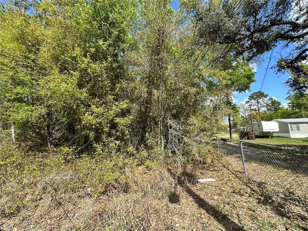 tbd HARDEE STREET, BRONSON, FL — photo 2 of 11