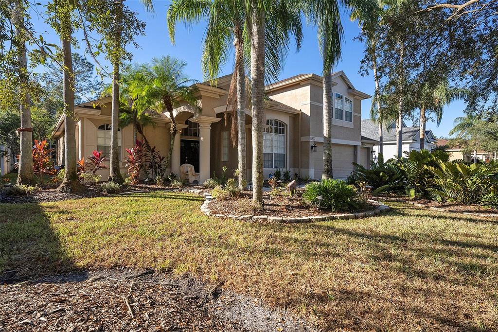A single-story suburban house with a tan stucco exterior, palm trees, and a landscaped yard — 8507 PORTAGE AVENUE, TAMPA, FL