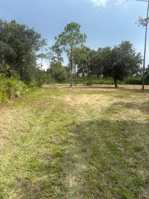 A grassy, partially cleared lot features scattered trees under a clear blue sky — 32801 Us Highway 441 N, Okeechobee FL 34972, OKEECHOBEE, FL