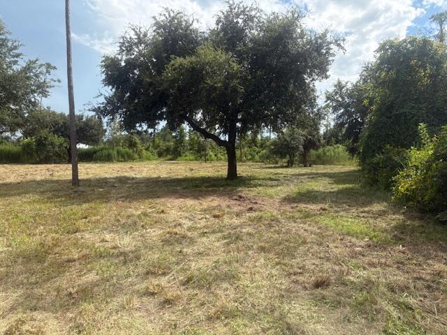 A large, mature tree stands in the center of a cleared, grassy, sunlit lot — 32801 Us Highway 441 N, Okeechobee FL 34972, OKEECHOBEE, FL