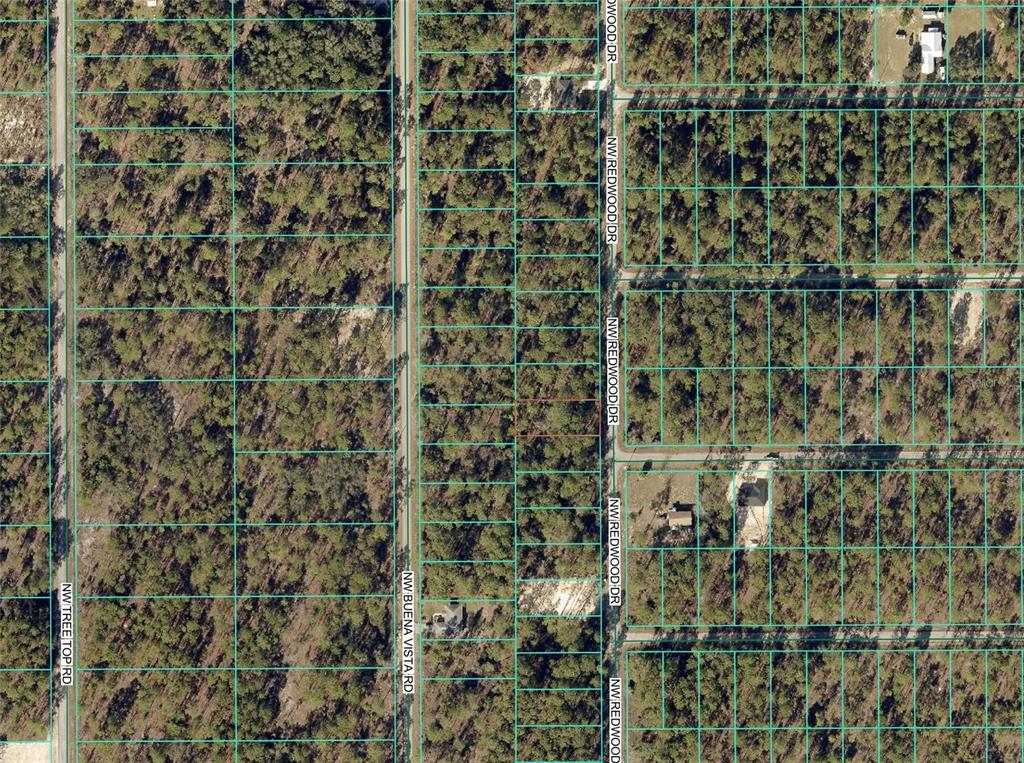 This is an aerial map showing a vacant lot outlined in red among wooded residential parcels — 1110 NW REDWOOD DRIVE, DUNNELLON, FL