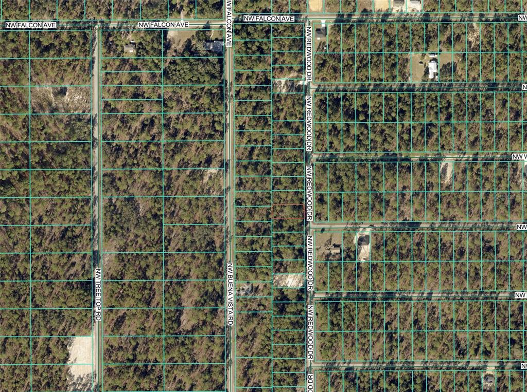 This is an aerial map showing a grid of undeveloped wooded lots and residential streets — 1110 NW REDWOOD DRIVE, DUNNELLON, FL