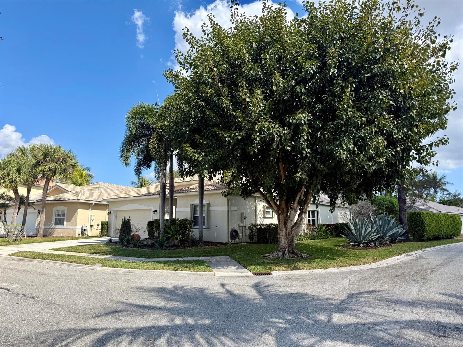 A single-story house with a large tree and palm trees in the front yard — 8611 Gold Cay, West Palm Beach FL 33411, WEST PALM BEACH, FL