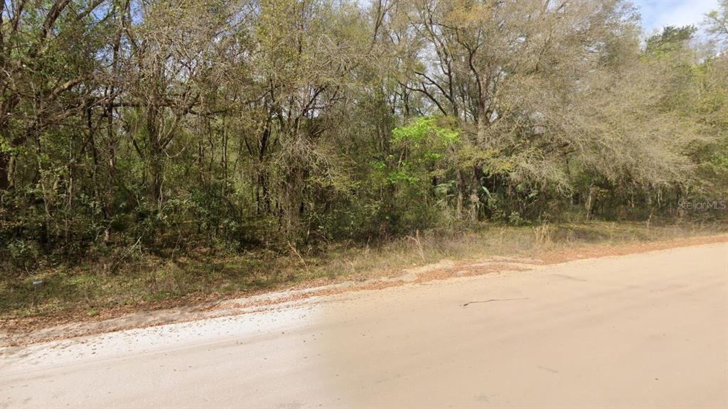 ANNETTE AVENUE, INTERLACHEN, FL — photo 3 of 5
