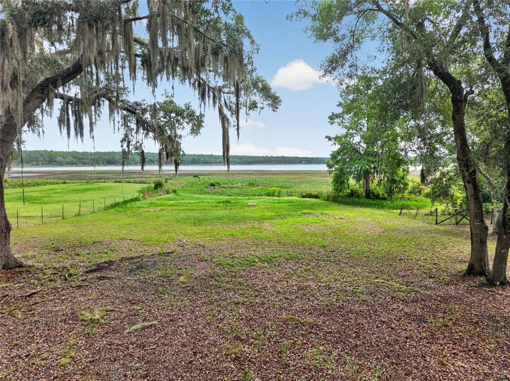 A grassy yard with large oak trees overlooks a marshy area and a distant lake — 104 LONG POND WAY, HAWTHORNE, FL