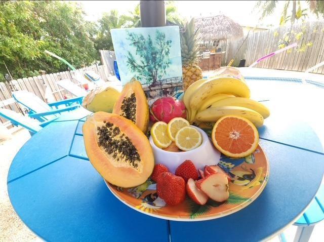 A plate of fresh fruit sits on a blue table outdoors near a swimming pool — 309 E Calzada De Bougainville, Marathon FL 33050, MARATHON, FL