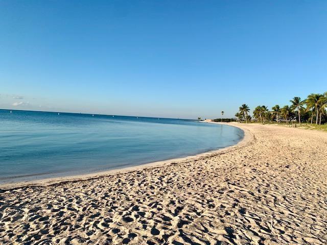 A sandy beach curves along calm blue water with palm trees lining the distant shore — 309 E Calzada De Bougainville, Marathon FL 33050, MARATHON, FL