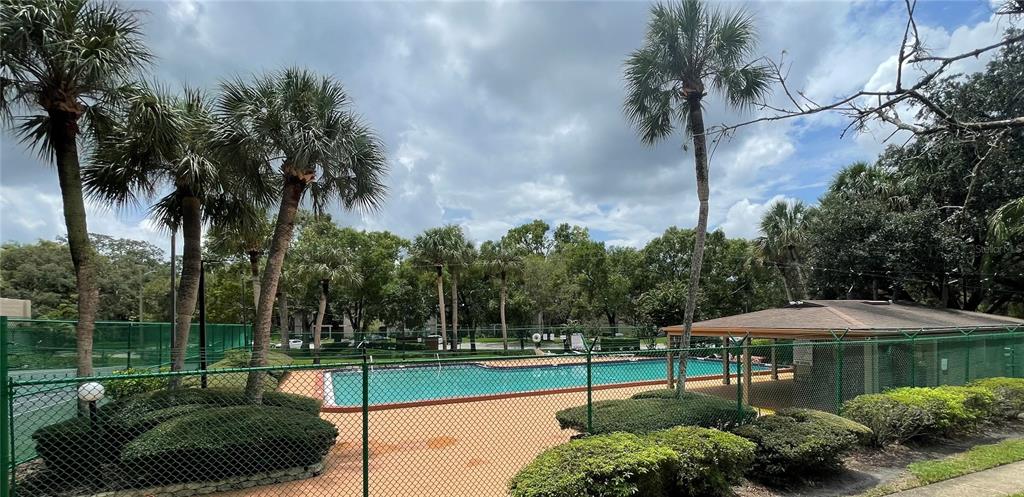 An outdoor swimming pool is enclosed by a chain-link fence with palm trees and landscaping — 14308 HANGING MOSS CIRCLE UNIT 101, TAMPA, FL