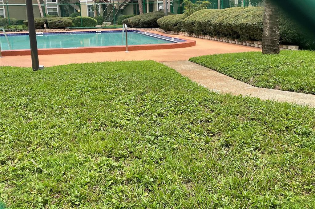 A swimming pool with a concrete deck is surrounded by green grass and manicured hedges — 14308 HANGING MOSS CIRCLE UNIT 101, TAMPA, FL