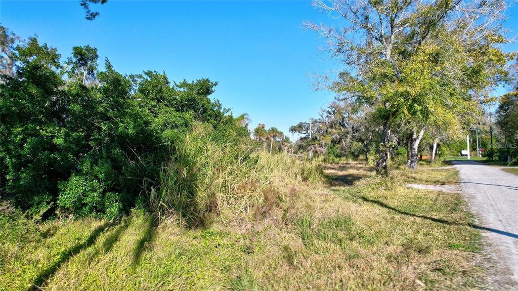 A dirt road runs alongside a grassy, overgrown lot with trees and dense vegetation — 2619 16TH AVENUE DRIVE E, BRADENTON, FL
