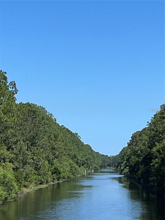 A narrow canal flows between dense green forests under a clear blue sky — 85 PORT ROYAL DRIVE, PALM COAST, FL