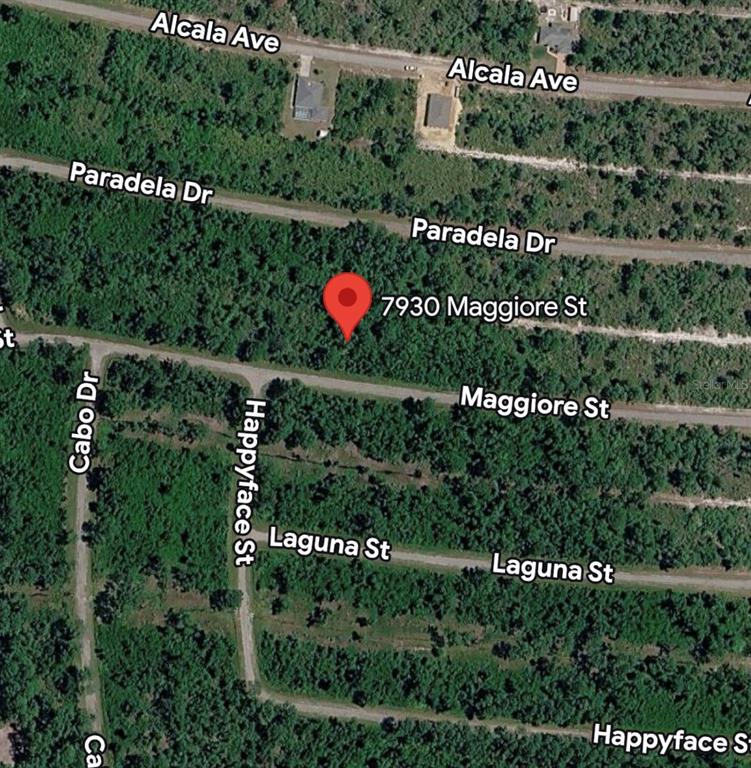 This is a satellite map showing a vacant, wooded lot marked with a red pin — 7930 MAGGIORE STREET, SEBRING, FL