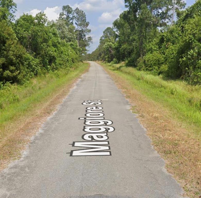 A narrow asphalt road stretches through a wooded area with grassy shoulders on both sides — 7930 MAGGIORE STREET, SEBRING, FL