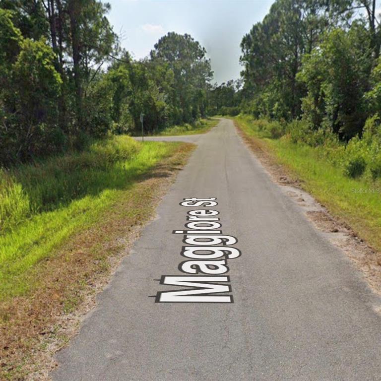 A narrow paved road named Maggiore St runs through a wooded area with grassy shoulders — 7930 MAGGIORE STREET, SEBRING, FL