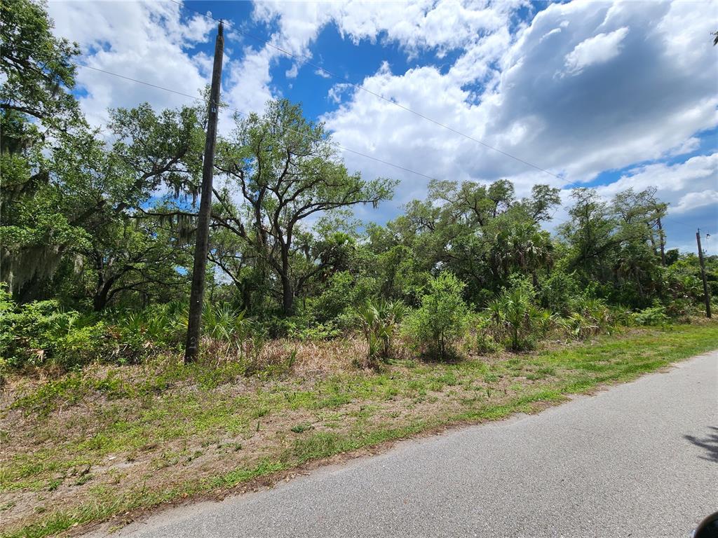 A paved road runs alongside a wooded lot with tall trees and dense undergrowth — 13397 LEATHERBURY AVENUE, PORT CHARLOTTE, FL