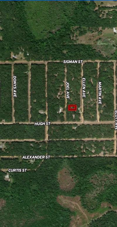 This is a satellite map showing a rectangular plot of land highlighted in red — LOT 11 JOEL AVENUE, INTERLACHEN, FL