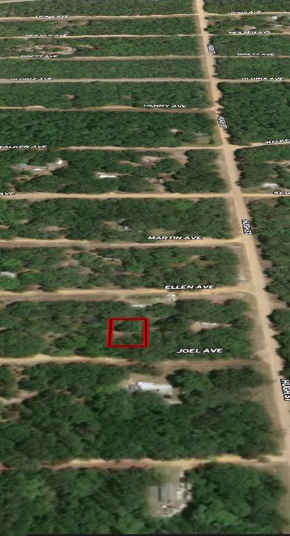 An aerial map view shows a rectangular plot of land outlined in red near a road — LOT 11 JOEL AVENUE, INTERLACHEN, FL