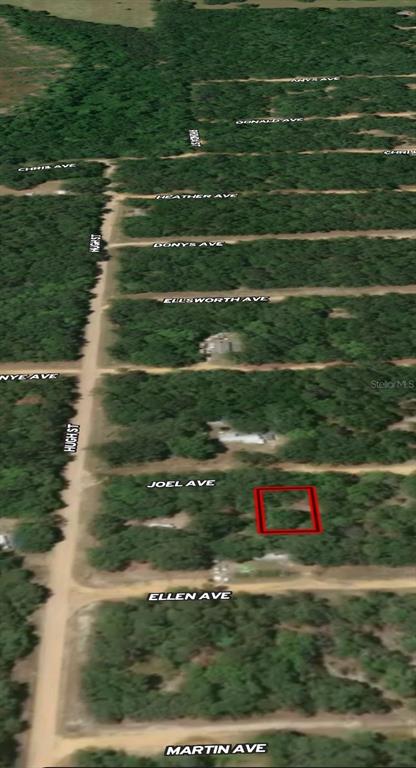 This is an aerial map view showing a vacant lot outlined in red — LOT 11 JOEL AVENUE, INTERLACHEN, FL