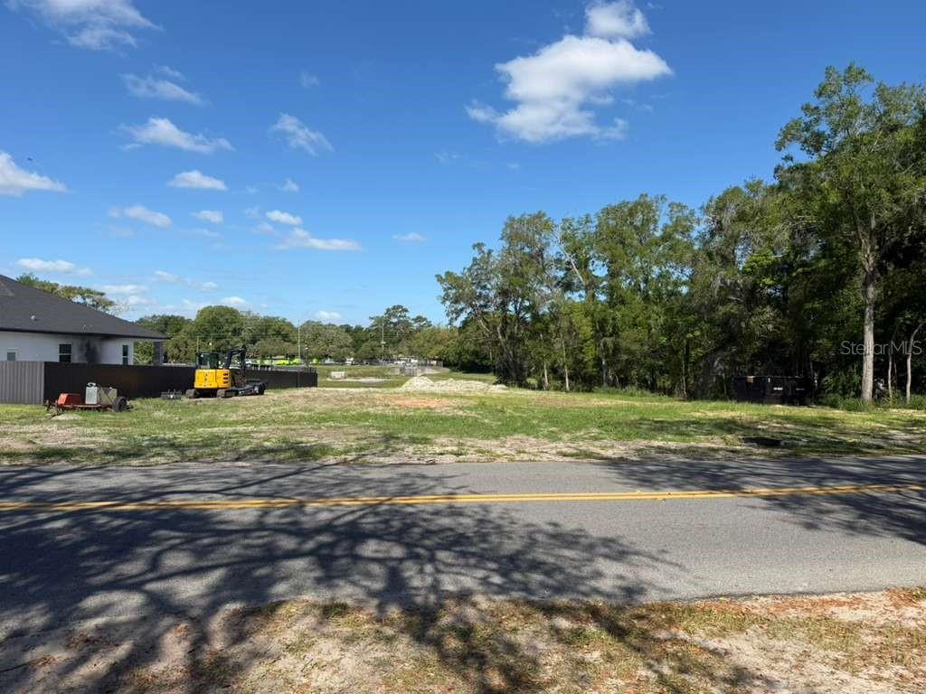 A vacant, grassy lot sits alongside a paved road with trees in the background — 4002 WHITE HERON DRIVE, ORLANDO, FL