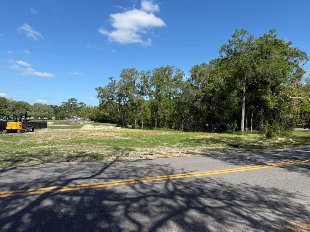 A vacant, grassy lot sits beside a paved road with trees in the background — 4002 WHITE HERON DRIVE, ORLANDO, FL